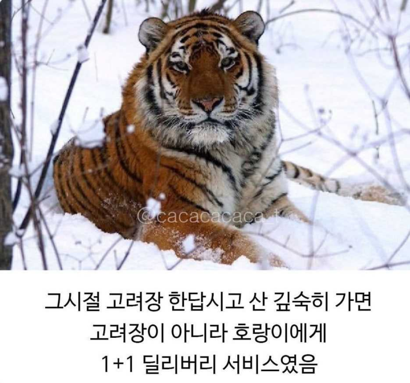 ae0dee6b3f7f820040224714009368db_1765189549_3486.png